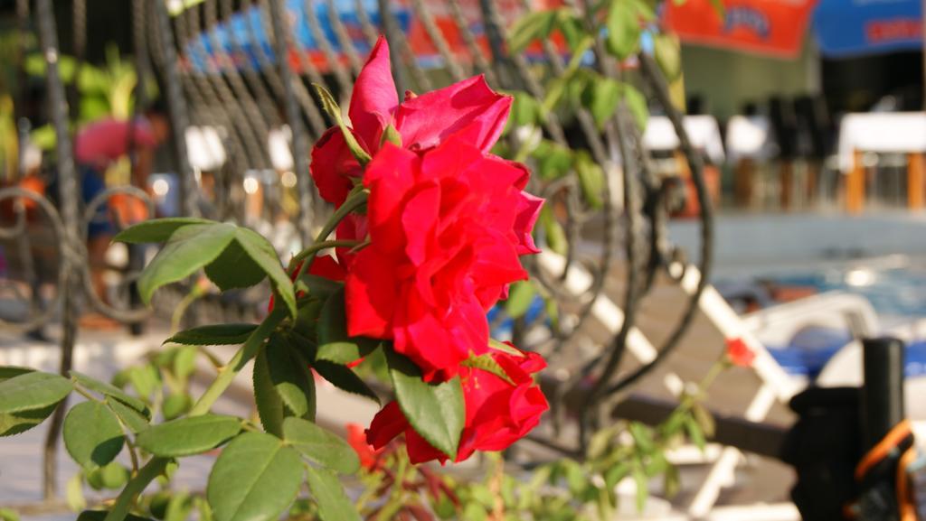 Hotel Nazar Garden Fethiye